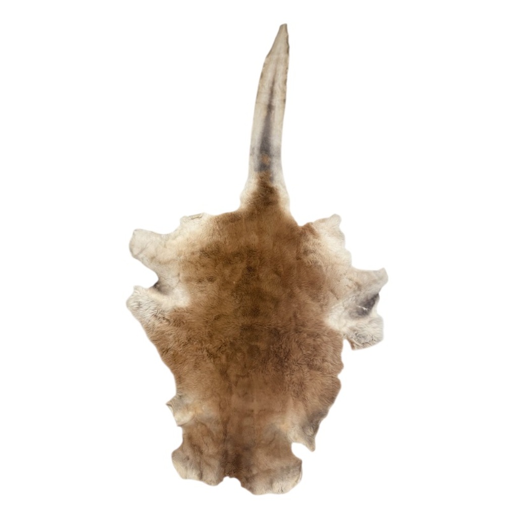 Genuine Kangaroo Animal Hide Rug